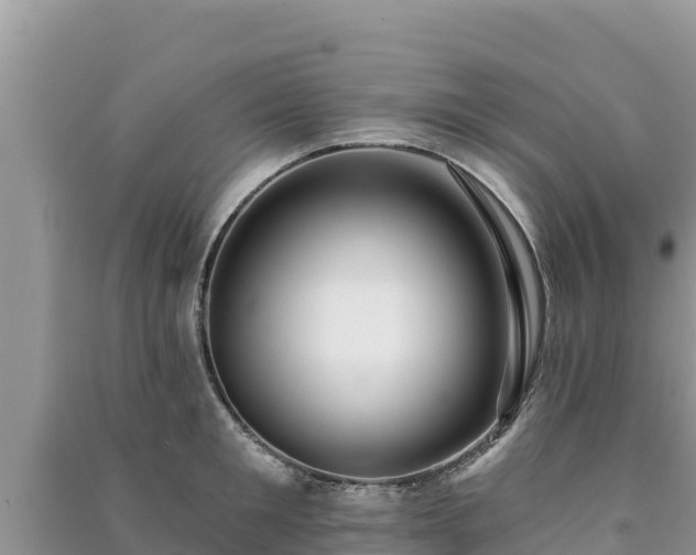 X0000091070901200708131150