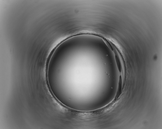 X0000091070902200708131150