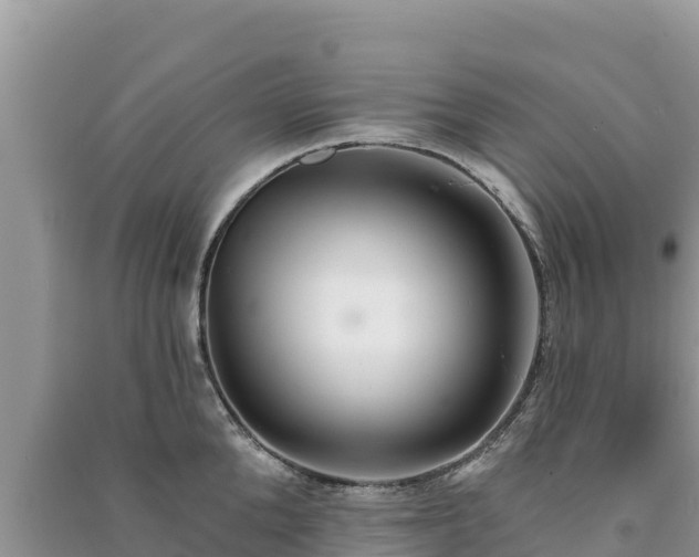 X0000091070904200708131150