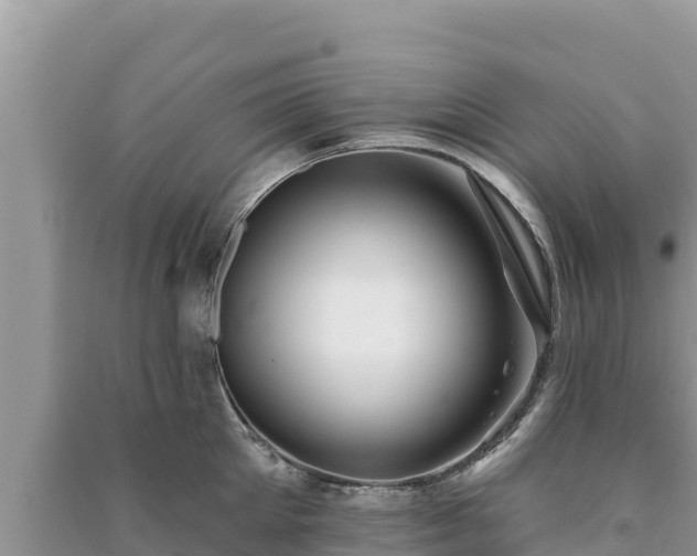 X0000091070905200708131150