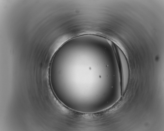 X0000091070906200708131150