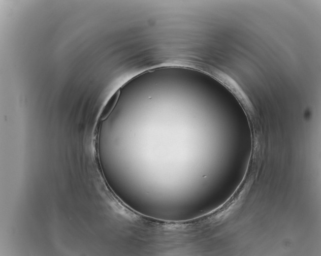 X0000091070908200708131150