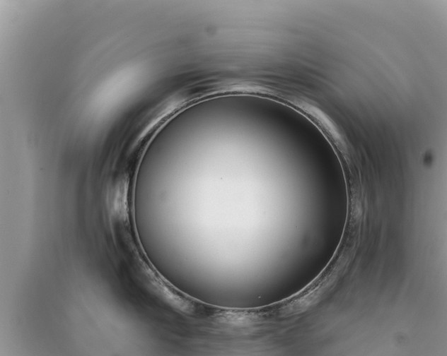 X0000091070910200708131150