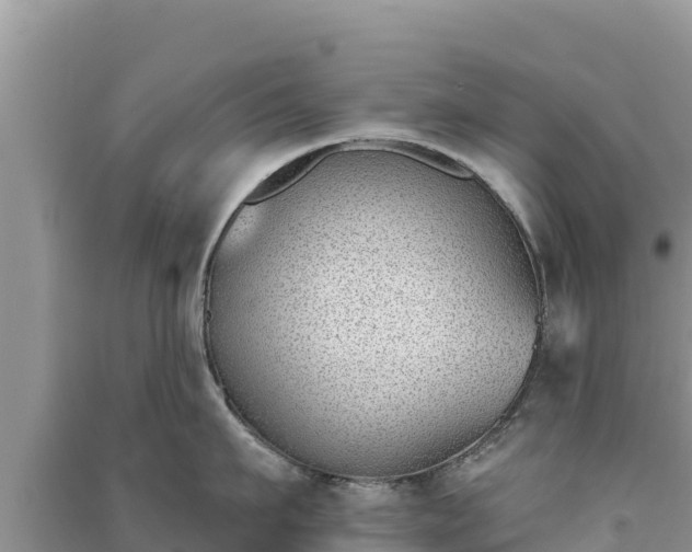 X0000091070911200708131150