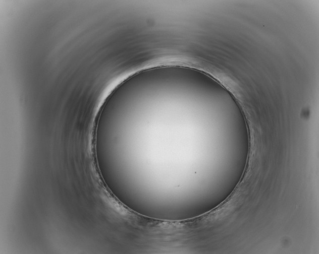 X0000091070912200708131150