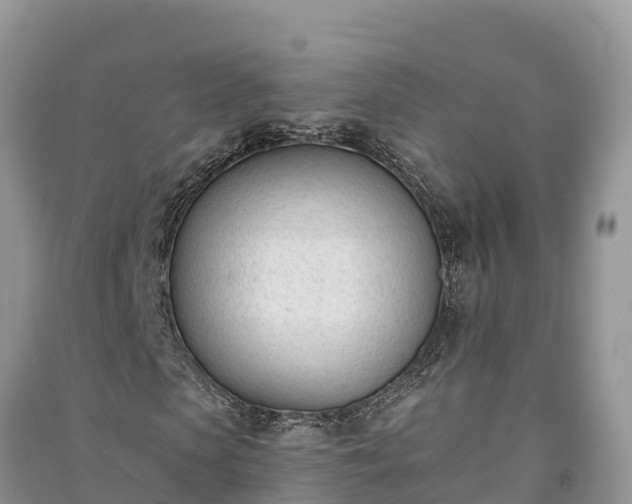 X0000091070913200708131149