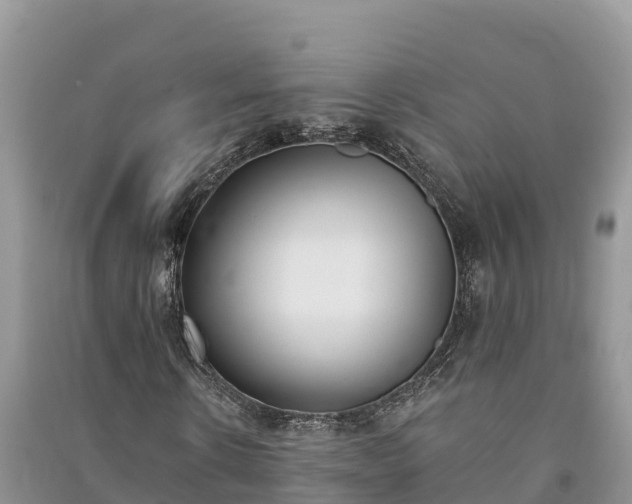 X0000091070914200708131149