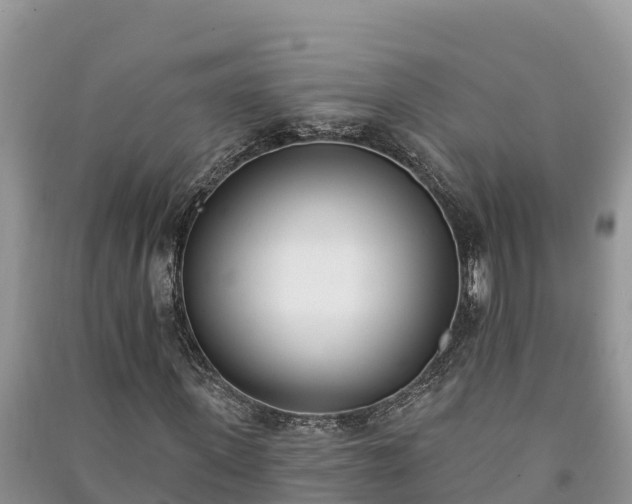 X0000091070915200708131149