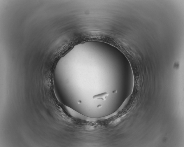 X0000091070916200708131149