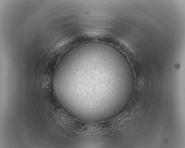 X0000091070917200708131149