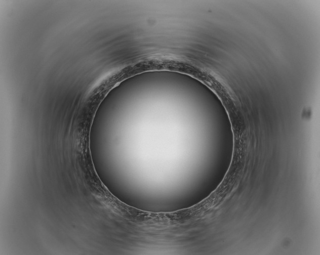 X0000091070919200708131149