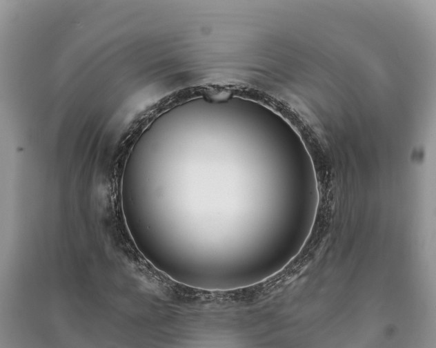 X0000091070920200708131149