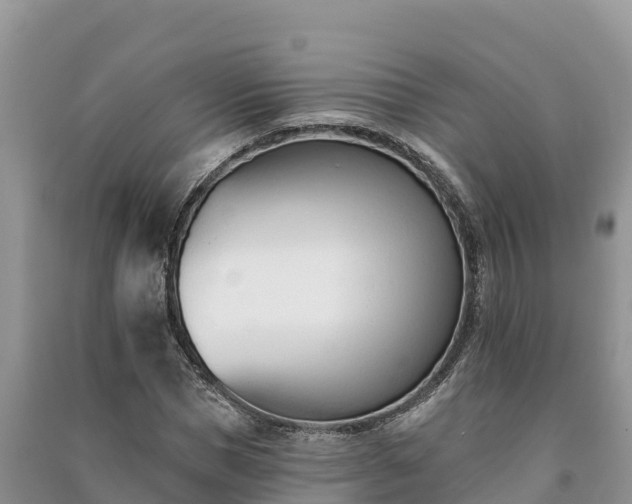 X0000091070921200708131149