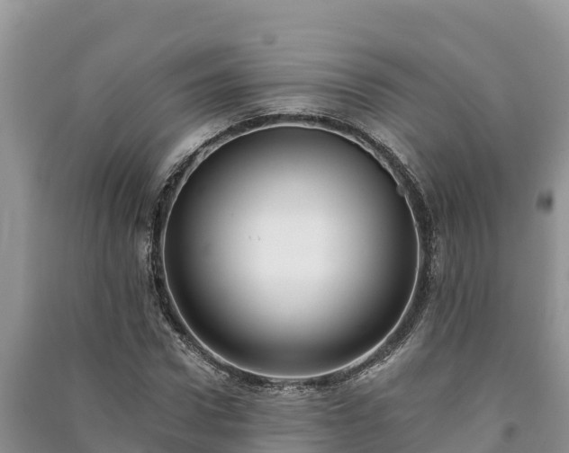 X0000091070922200708131149