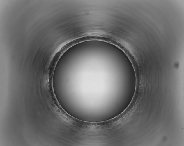 X0000091070923200708131149