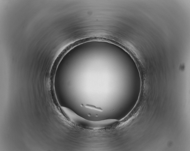X0000091070924200708131149