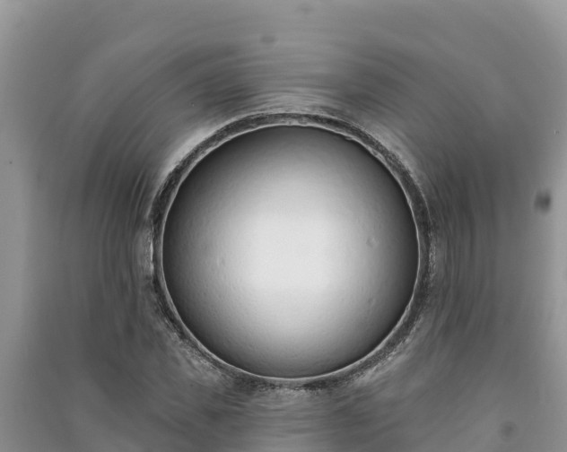 X0000091070925200708131149