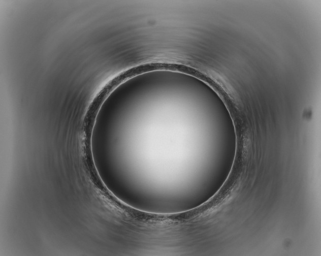 X0000091070926200708131149