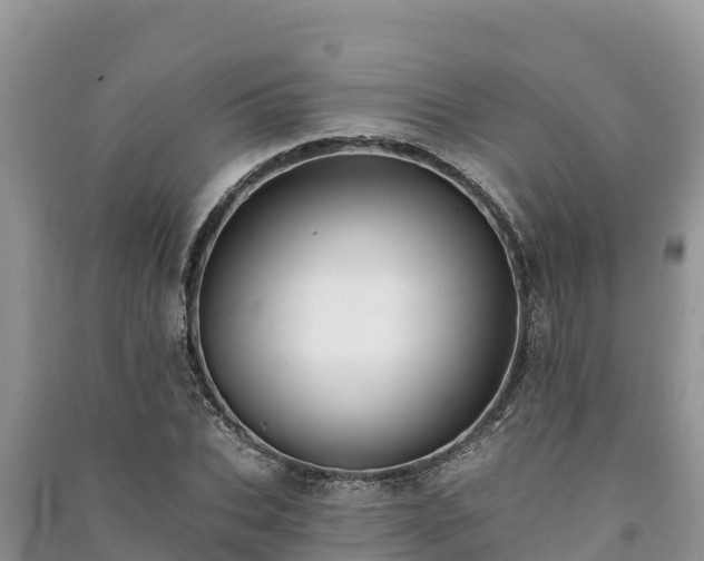 X0000091070927200708131149