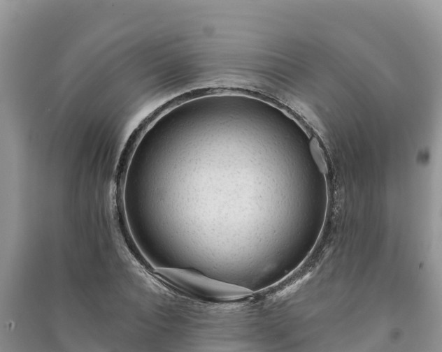 X0000091070928200708131149