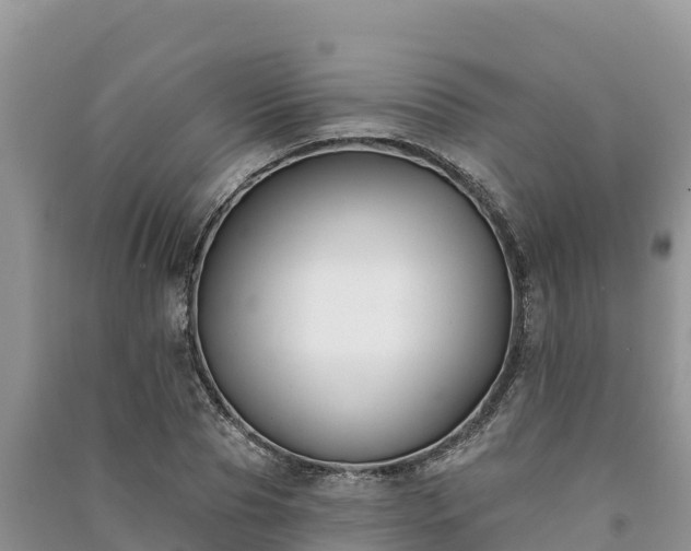 X0000091070929200708131149