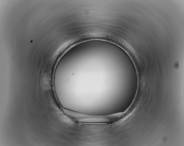 X0000091070930200708131149