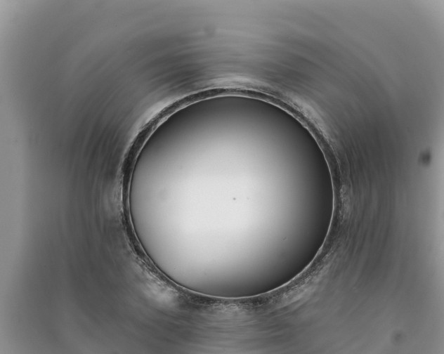 X0000091070931200708131149