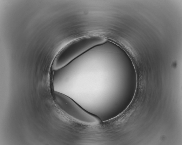 X0000091070932200708131149
