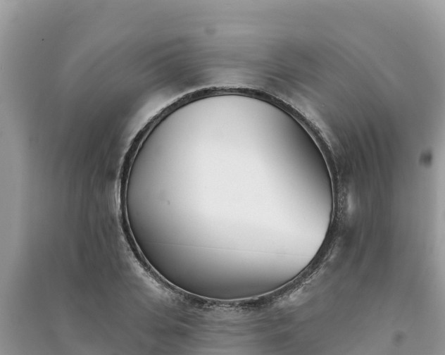 X0000091070935200708131149