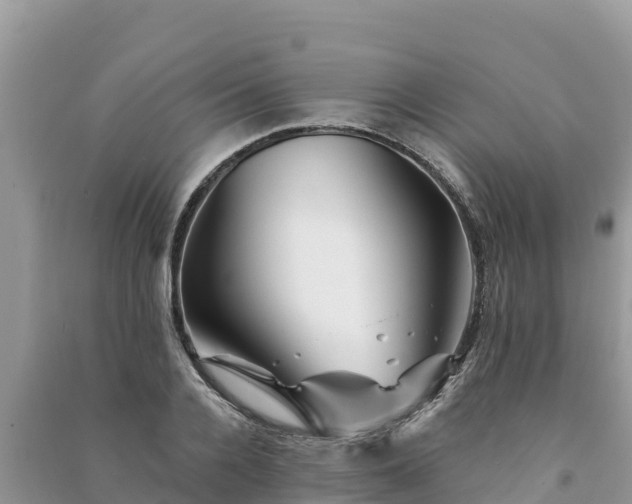 X0000091070936200708131149