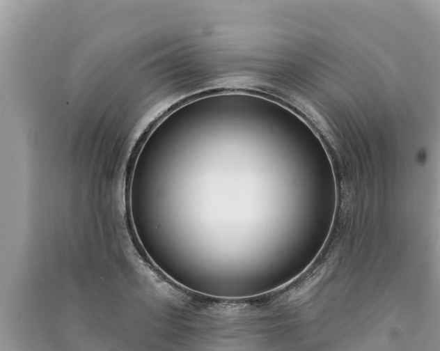X0000091070939200708131149