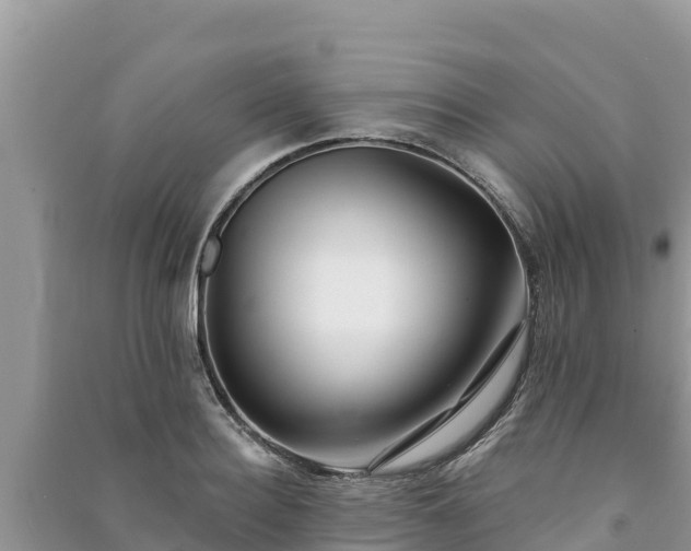 X0000091070940200708131149