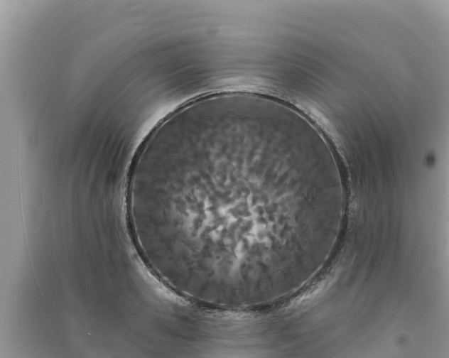 X0000091070941200708131149