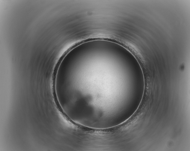 X0000091070942200708131149