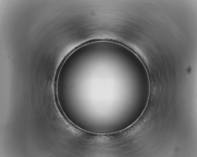 X0000091070943200708131150