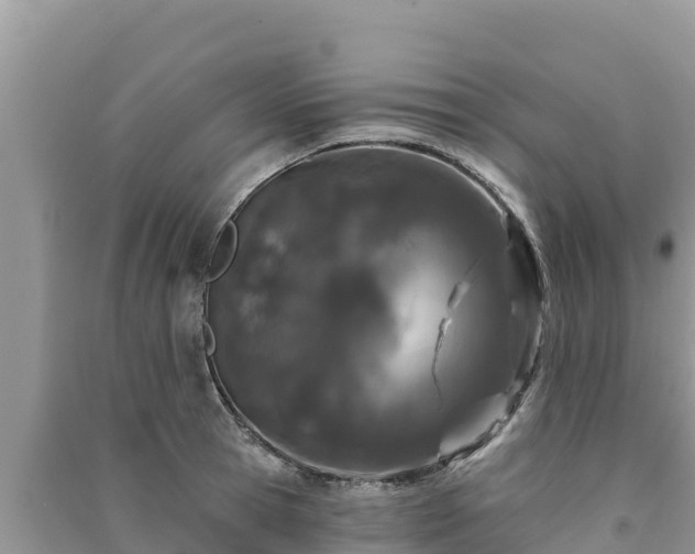 X0000091070945200708131150