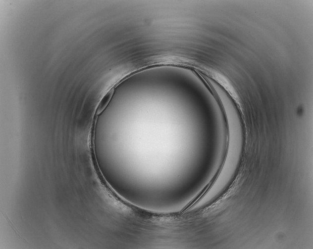 X0000091070946200708131150