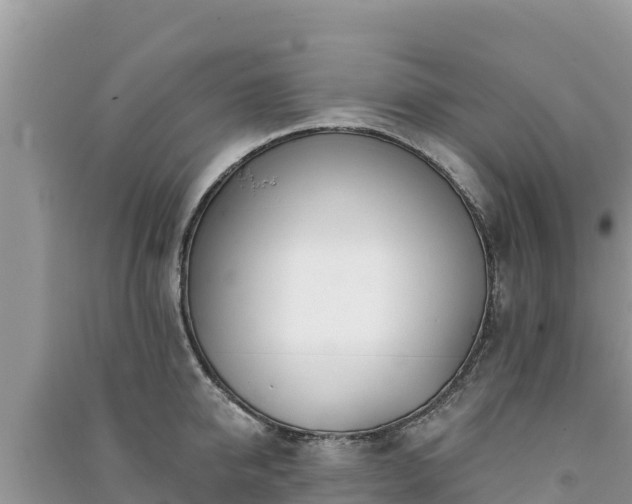 X0000091070950200708131150