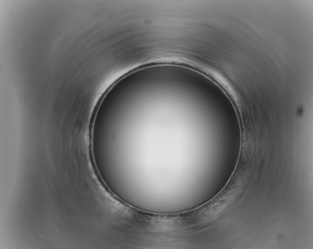 X0000091070951200708131150