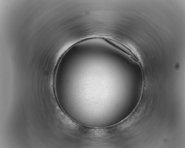 X0000091070952200708131150