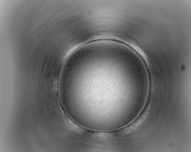 X0000091070953200708131150
