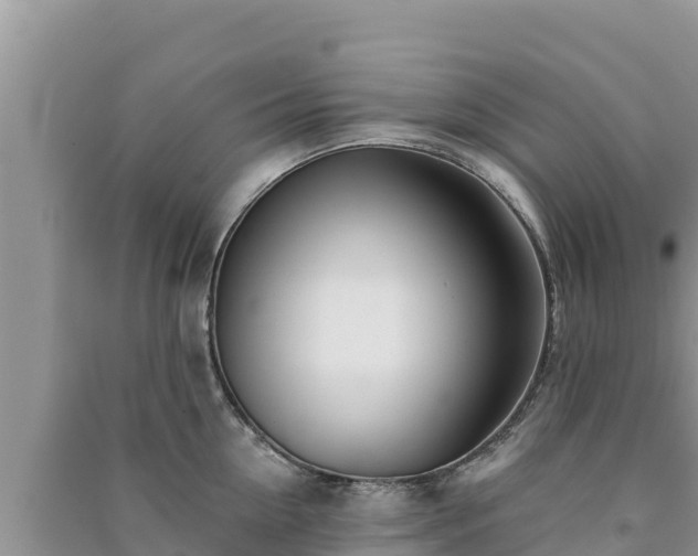 X0000091070954200708131150