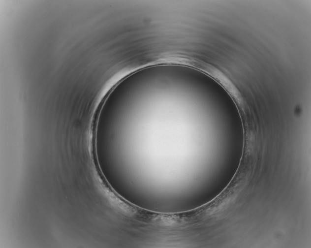 X0000091070955200708131150