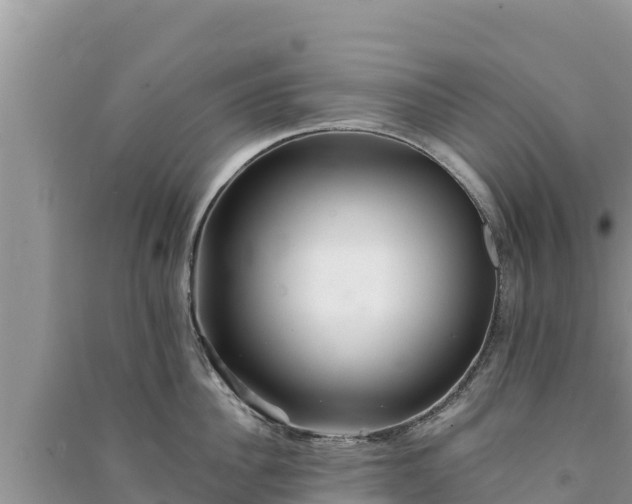 X0000091070956200708131150