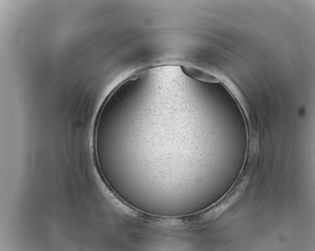 X0000091070957200708131150