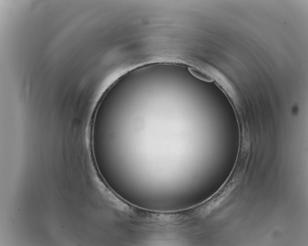 X0000091070958200708131150