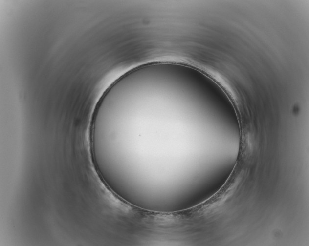 X0000091070959200708131150
