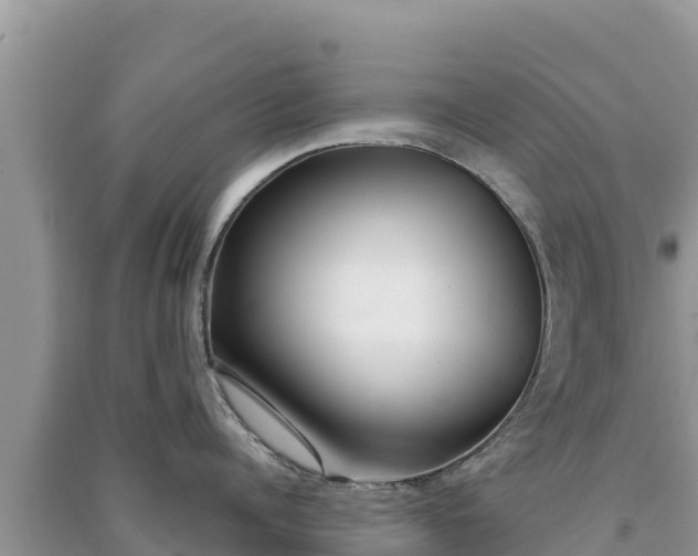 X0000091070960200708131150
