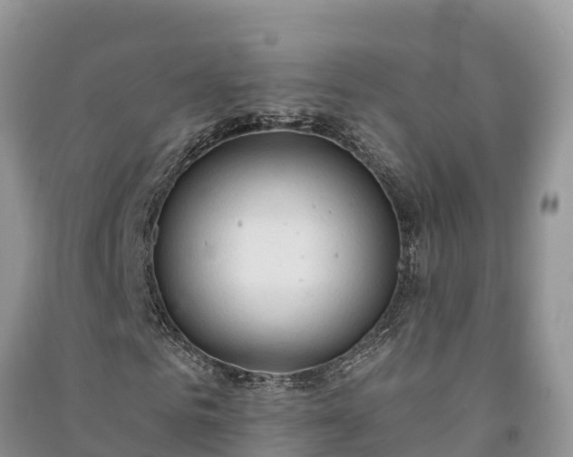 X0000091070961200708131149