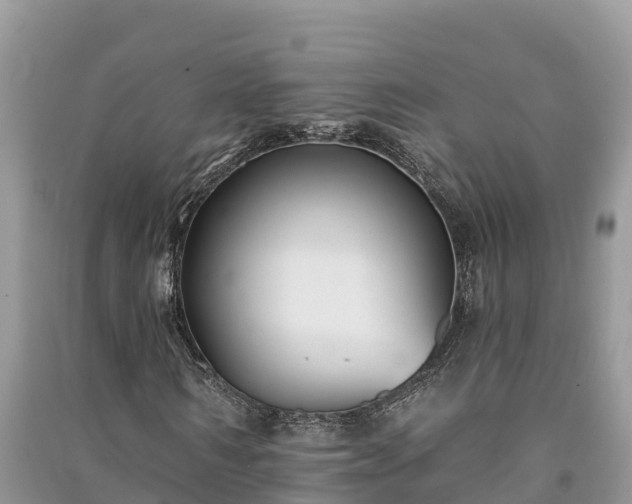 X0000091070962200708131149